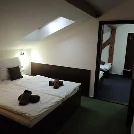 Hotel Trebovicky Mlyn