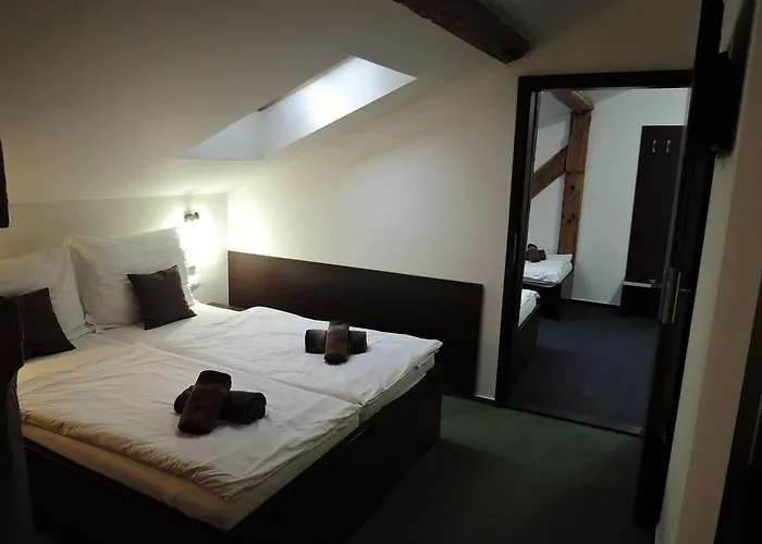 Hotel Trebovicky Mlyn